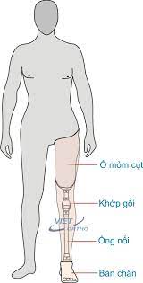Mau-hinh-tong-the.jpg